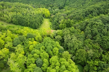 Prodej pozemku 9157 m², Moravské Bránice