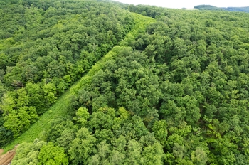 Prodej pozemku 9157 m², Moravské Bránice