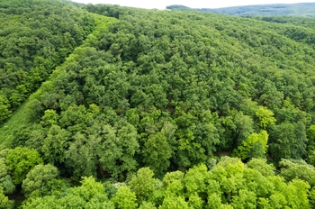 Prodej pozemku 9157 m², Moravské Bránice