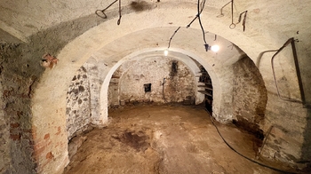 Prodej domu 370 m², Počátky