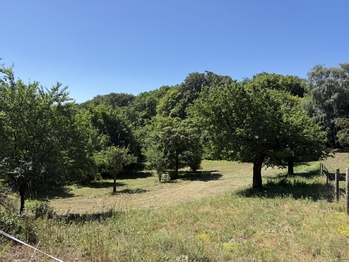 Prodej domu 85 m², Litvínov