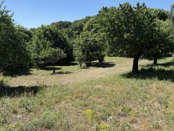 Prodej domu 85 m², Litvínov