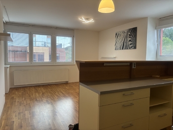 Pronájem bytu 2+kk v osobním vlastnictví 57 m², Praha 5 - Smíchov