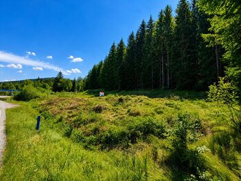 Prodej pozemku 1000 m², Loučovice