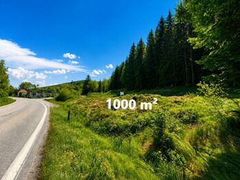 Prodej pozemku 1000 m², Loučovice