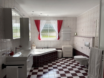 Prodej ubytovacího zařízení 490 m², Růžová