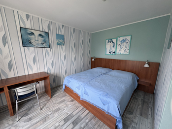 Prodej ubytovacího zařízení 490 m², Růžová