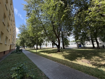 Pronájem bytu 2+1 v osobním vlastnictví 55 m², Slavkov u Brna