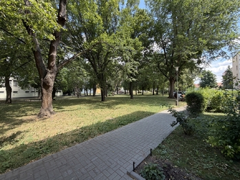 Pronájem bytu 2+1 v osobním vlastnictví 55 m², Slavkov u Brna