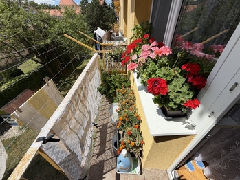 Pronájem bytu 2+1 v osobním vlastnictví 55 m², Slavkov u Brna
