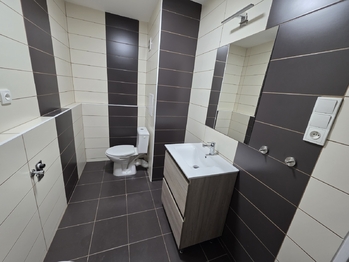 Prodej bytu 1+kk v osobním vlastnictví 31 m², Doloplazy