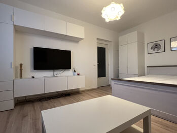 Pronájem bytu 1+1 v družstevním vlastnictví 40 m², Odolena Voda