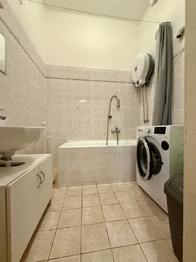 Pronájem bytu 1+1 v osobním vlastnictví 50 m², Plzeň