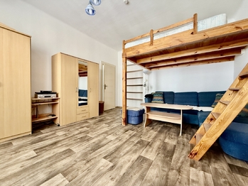 Pronájem bytu 1+1 v osobním vlastnictví 50 m², Plzeň