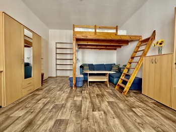 Pronájem bytu 1+1 v osobním vlastnictví 50 m², Plzeň