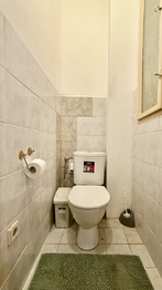 Pronájem bytu 1+1 v osobním vlastnictví 50 m², Plzeň