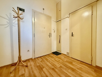 Pronájem bytu 1+1 v osobním vlastnictví 50 m², Plzeň