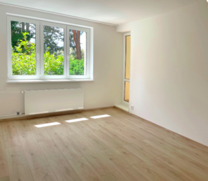obývací pokoj se vstupem na lodžii - Pronájem bytu 2+1 v osobním vlastnictví 55 m², Říčany