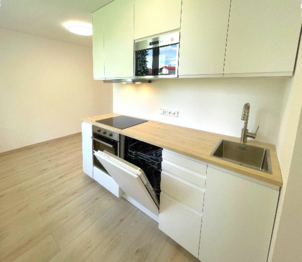kuchyň - Pronájem bytu 2+1 v osobním vlastnictví 55 m², Říčany
