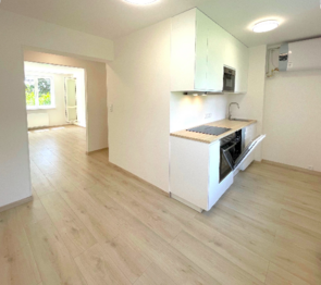 kuchyň - Pronájem bytu 2+1 v osobním vlastnictví 55 m², Říčany