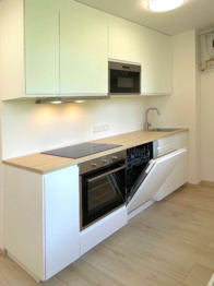 kuchyň - Pronájem bytu 2+1 v osobním vlastnictví 55 m², Říčany
