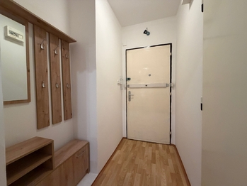 Pronájem bytu 1+1 v družstevním vlastnictví 35 m², Praha 4 - Nusle