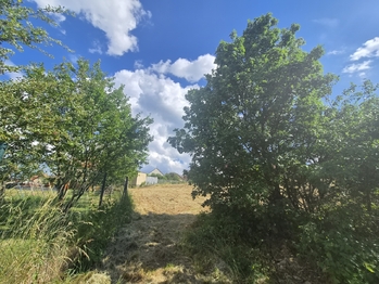 Prodej pozemku 2464 m², Habrůvka