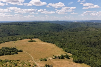 Prodej pozemku 2464 m², Habrůvka