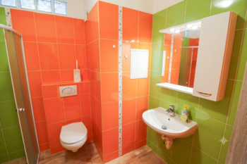 koupelna - Pronájem bytu 4+1 v osobním vlastnictví 78 m², Malovice