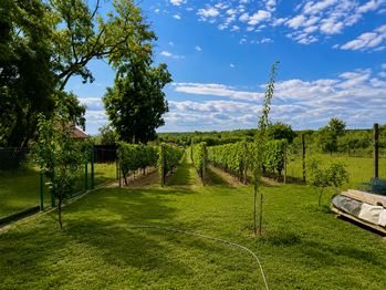 Prodej pozemku 1560 m², Břeclav