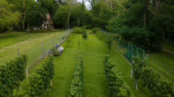Prodej pozemku 1560 m², Břeclav