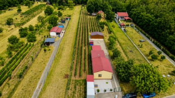 Prodej pozemku 1560 m², Břeclav