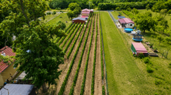 Prodej pozemku 1560 m², Břeclav