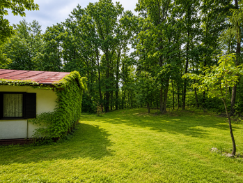 Prodej chaty / chalupy 45 m², Mšecké Žehrovice