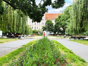 Pronájem bytu 3+1 v osobním vlastnictví 79 m², Praha 2 - Nové Město