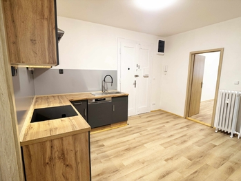 Pronájem bytu 3+1 v osobním vlastnictví 79 m², Praha 2 - Nové Město