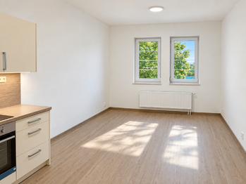 Pronájem bytu 1+kk v osobním vlastnictví 31 m², Brno