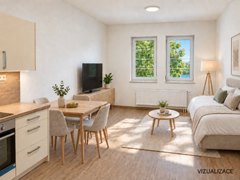 Pronájem bytu 1+kk v osobním vlastnictví 31 m², Brno