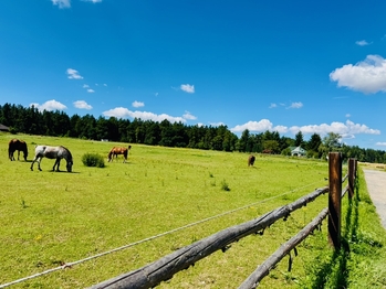 Louky, lesy, rybníky - Prodej domu 149 m², Svojetice