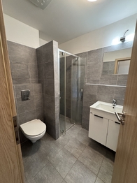 Pronájem bytu 1+kk v osobním vlastnictví 23 m², České Budějovice