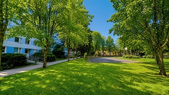 Prodej bytu 3+1 v družstevním vlastnictví 76 m², Neratovice