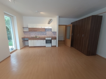 Pronájem bytu 1+kk v osobním vlastnictví 39 m², Lety