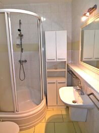 Pronájem bytu 1+kk v osobním vlastnictví 32 m², Praha 4 - Nusle