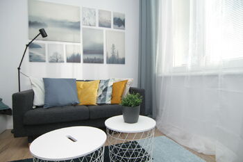 Pronájem bytu 1+1 v osobním vlastnictví 37 m², Karlovy Vary