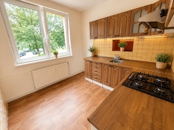 Prodej bytu 3+1 v družstevním vlastnictví 63 m², Orlová