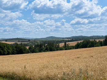 Prodej chaty / chalupy 55 m², Maršovice