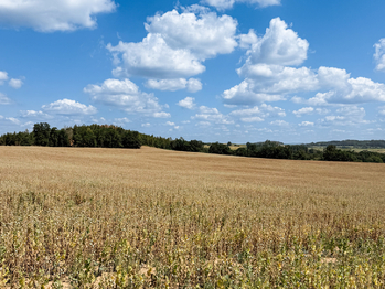 Prodej chaty / chalupy 55 m², Maršovice