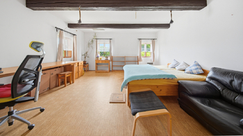 Prodej domu 556 m², Cvikov