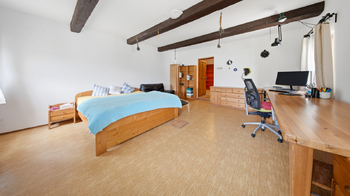 Prodej domu 556 m², Cvikov