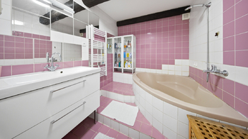 Prodej domu 556 m², Cvikov
